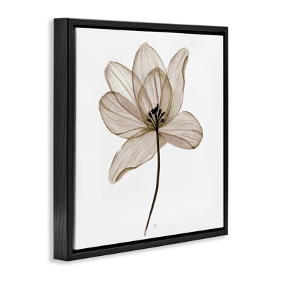 «Beige Opaque Flower Floater», art mural sur toile par Nan