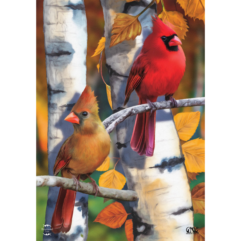 Drapeau de jardin Birch Tree Cardinals Fall