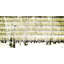 Parvez Taj - Wrapped Canvas Print-12309797