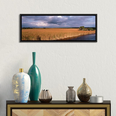 " USAFlorida, Big Cypress National Preserve Along Tamiami Trail Everglades National Park " by Panoramic Images