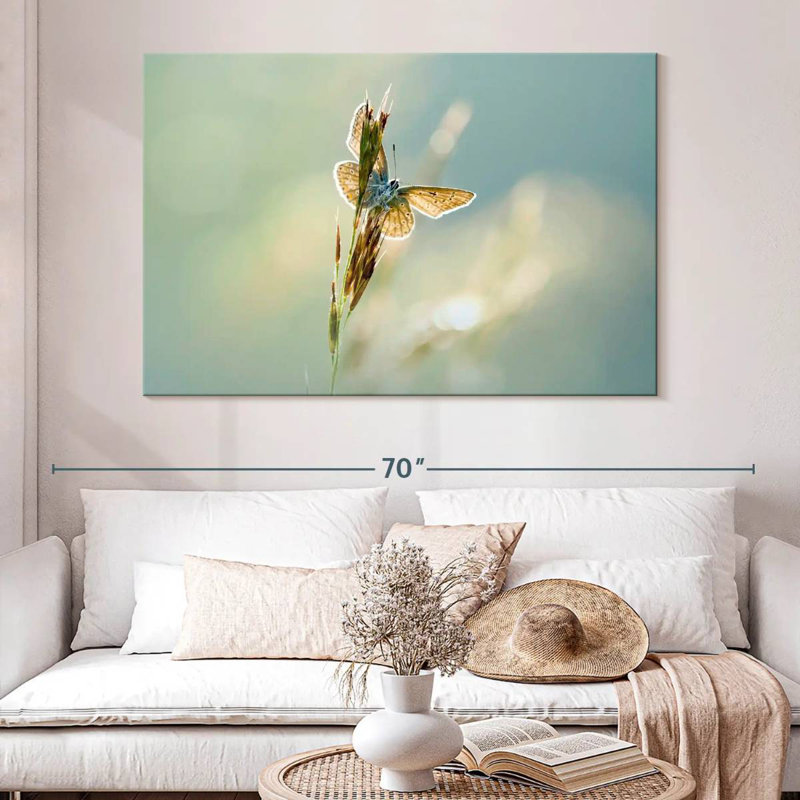 Brampt Icarus Butterfly, 34" H x 51" W