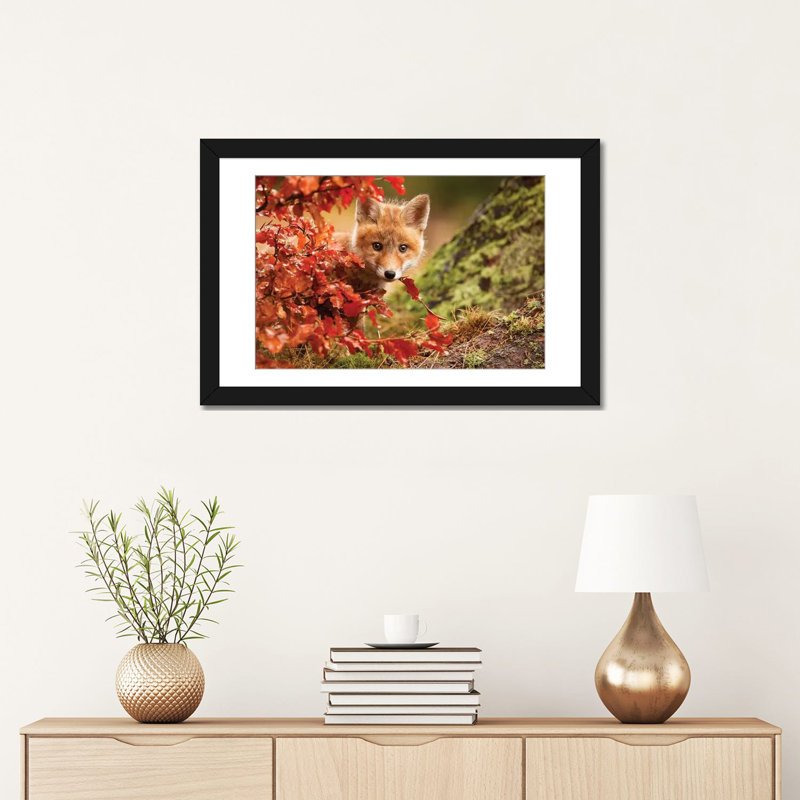 « fox », reproduction de photo sur toile tendue, H 16 po x l 24 po x P 1 po, Papier d'art encadré noir, Blanc
