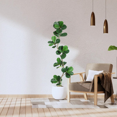 Plant