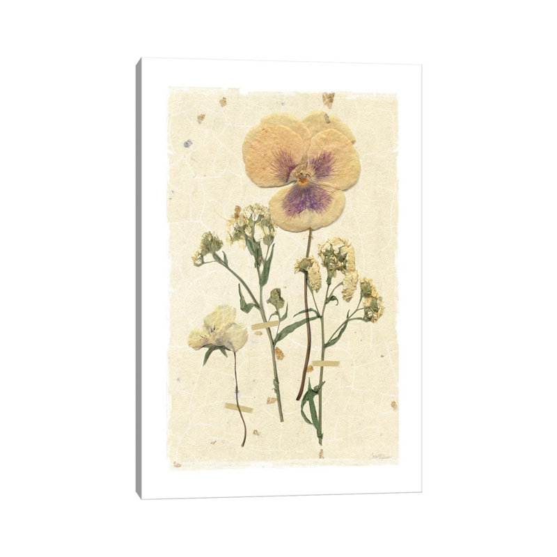 Pressed Pansy by Carol Robinson - Wrapped Canvas Painting, 66.04 cm H x 45.72 cm W x 1.91 cm D