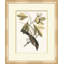 Summer Bird 2 Print
