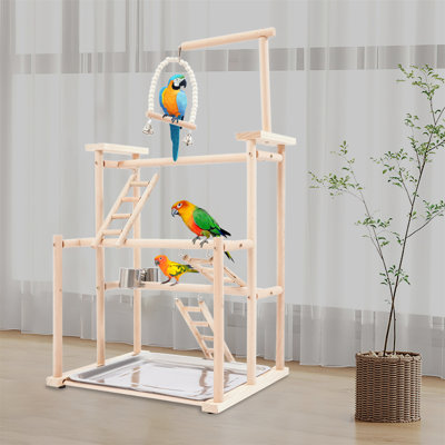 Budgie Small Bird Play Gym Budgie Toys Wooden Parrot Playstand