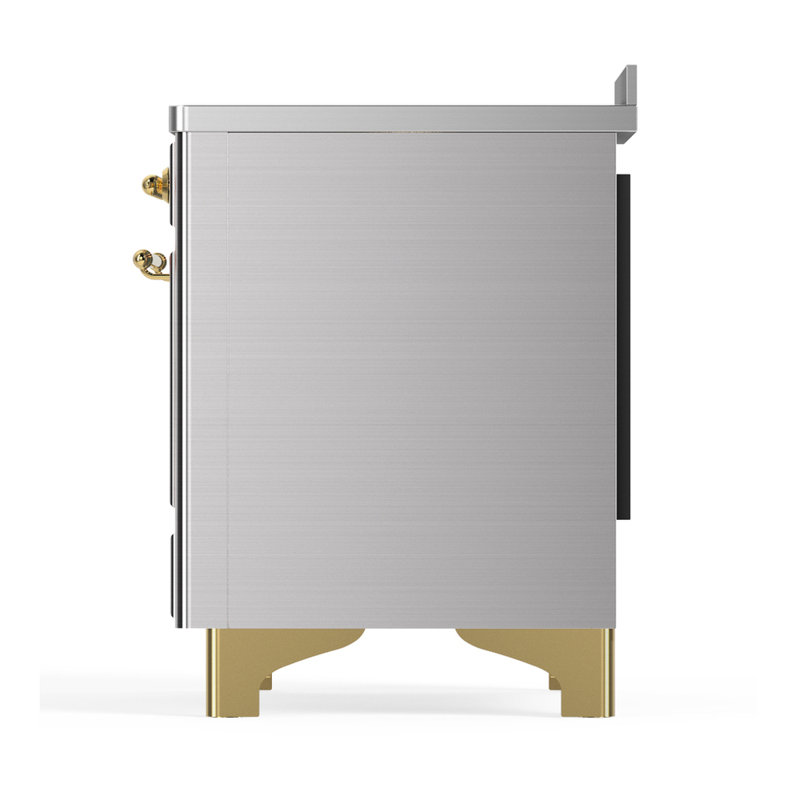 Majestic III Series 48 Inch Induction Range with 6 Induction Elements in Matte Graphite (Brass Trim), Stainless Steel, Brass