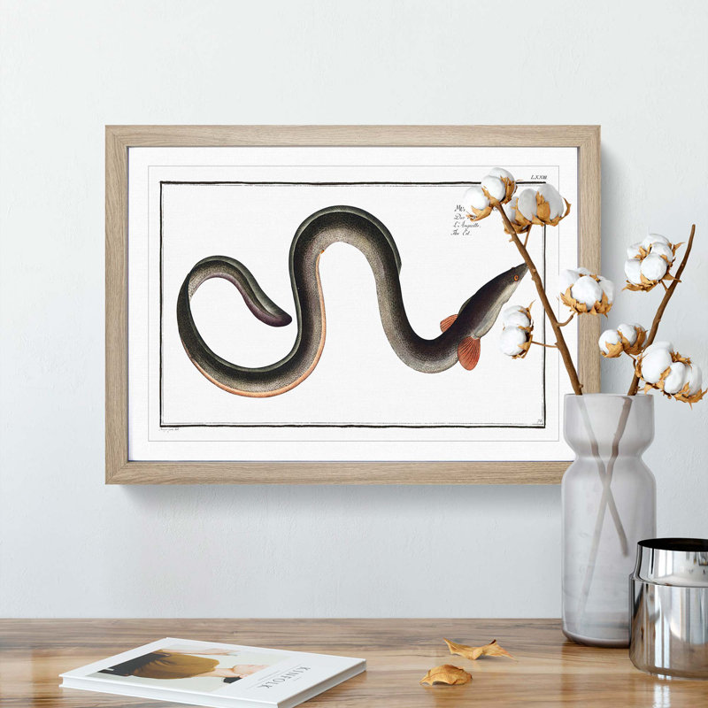 Eel by M.E. Bloch - Framed Print, 27cm H x 36cm W x 2cm D, Oak Framed