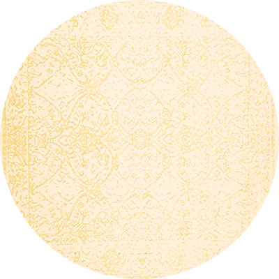 Washable Oriental Indoor Rug
