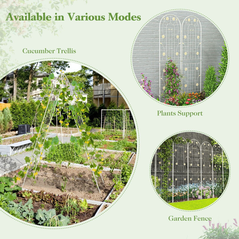 Sorenson 50cm W Metal Arched Trellis, 220cm H x 50cm x 2cm D, White