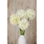 Arrangement-128130317-128130314