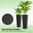 Set Of 2 Flower Pots,Tall Planters,Flower Boxs-39856944