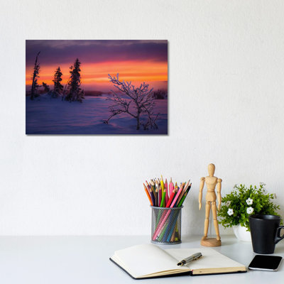 Wintermorning by Anders Jorulf - Wrapped Canvas Print