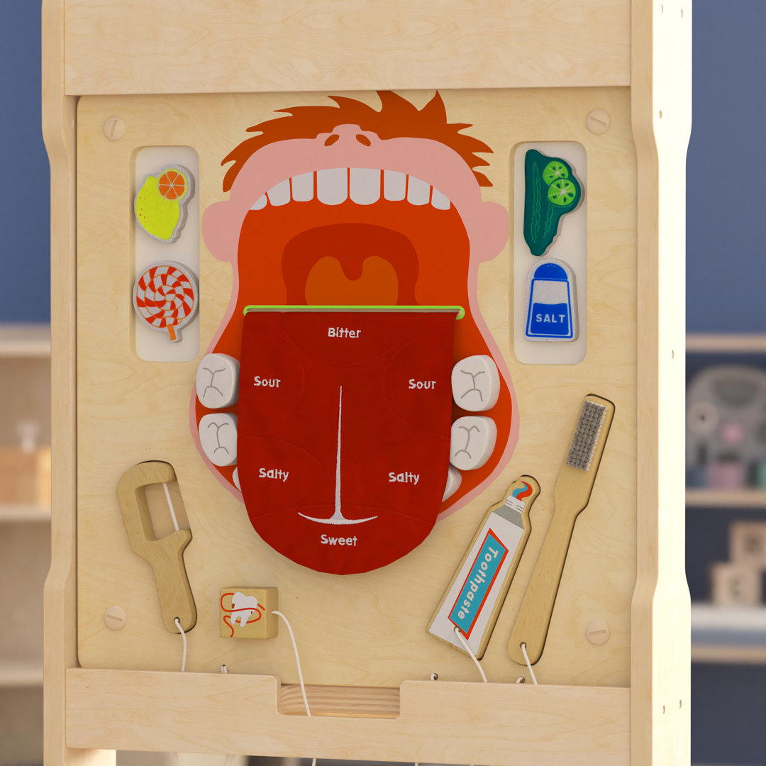 Bright Beginnings Commercial Grade STEAM Wall Wooden Dental Hygiene Accessory Board Bright Beginnings