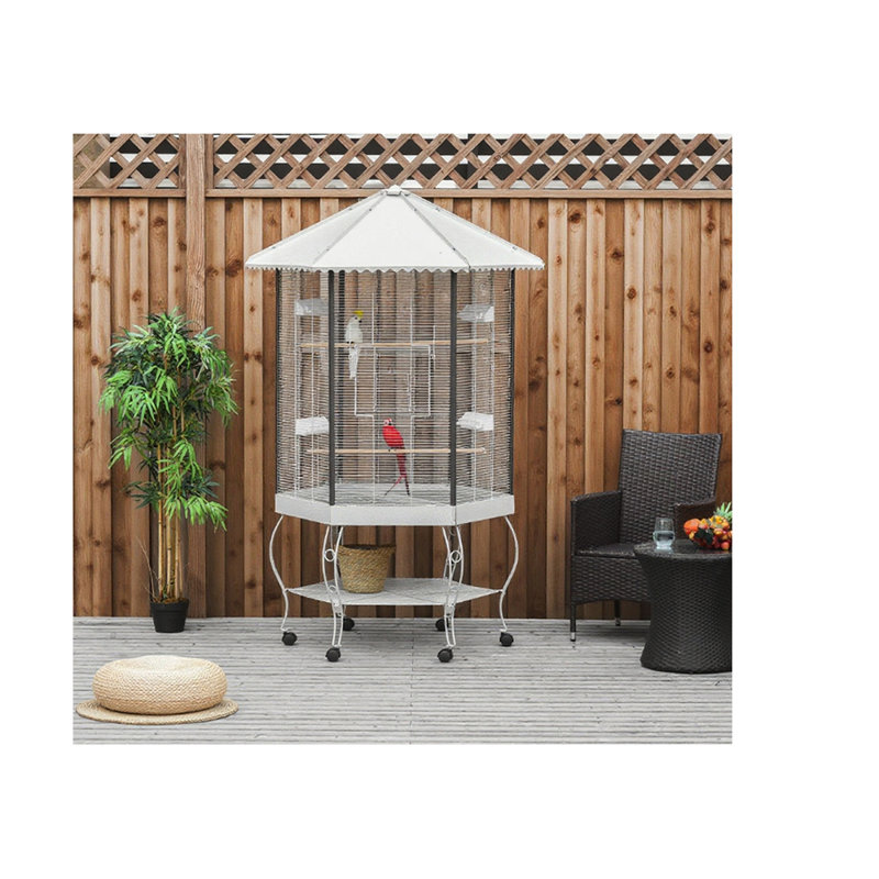 Flight Bird Cage