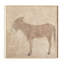 Burro Marron Painting by Paul Meyer-2135205442