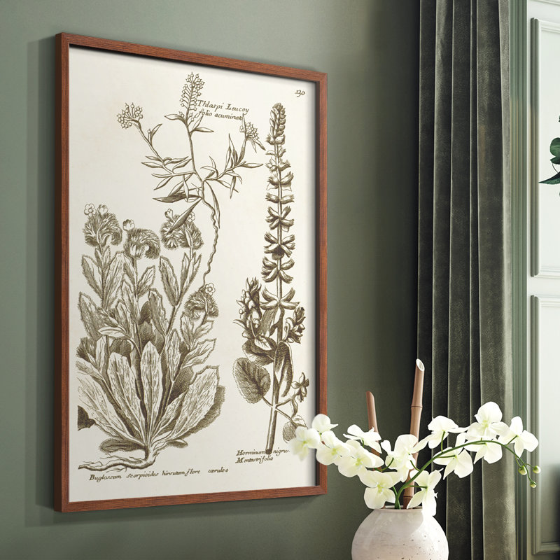 «Sepia Botanical Journal IV», reproduction encadrée - bois massif, Brun, H 10 po x l 8 po