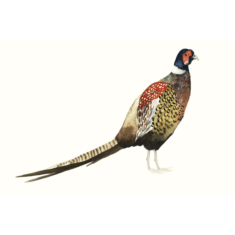 «Pheasant I» par Grace Popp - peinture sur toile tendue, H 20 po x l 30 po