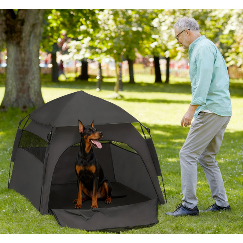 Tente pour chien avec sac de transport, pour plage, cour, maison, gris foncé