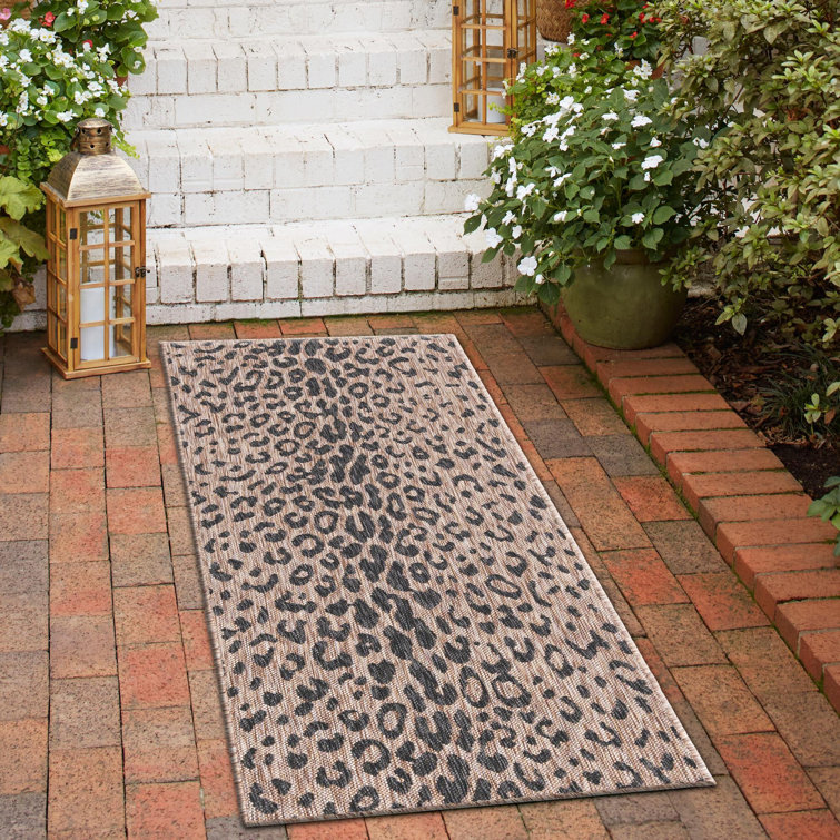 Ivery Indoor/Outdoor Area Rug