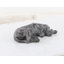 Sculpture de jardin Gothankar-2055550846