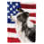 Border collie beige sélectionné