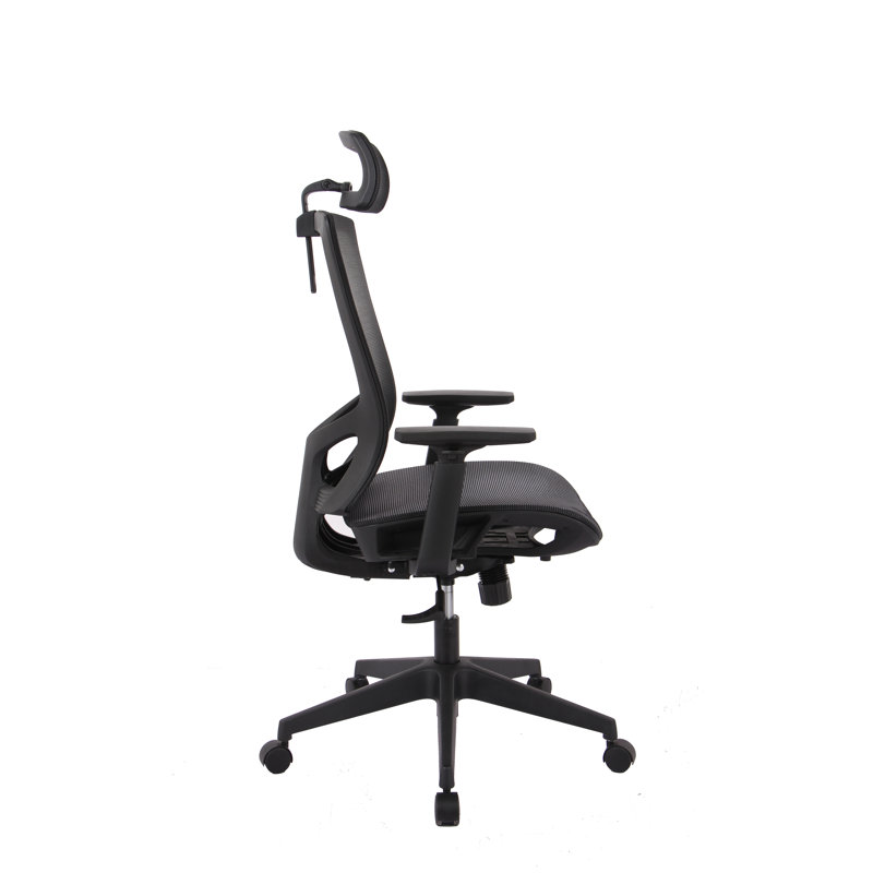 Amayrany Task Chair with Headrest