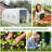 Vera 2m W x 4.5m D Greenhouse