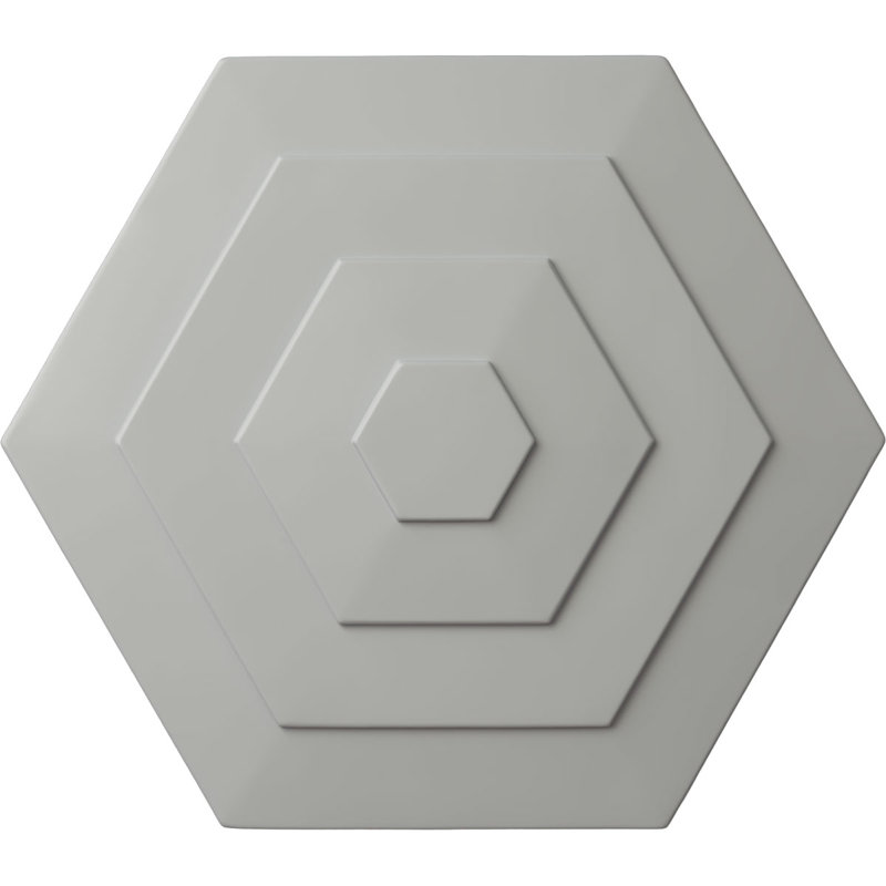 Médaillon de plafond 23 1/4 po x P 7/8 po Woodruff, Givré