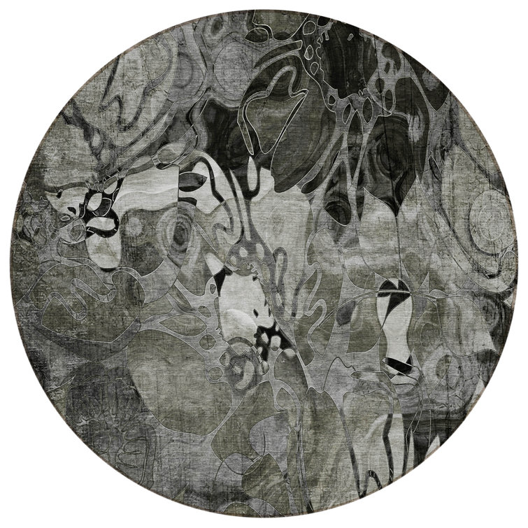 Caseville Washable Floral Indoor / Outdoor Rug