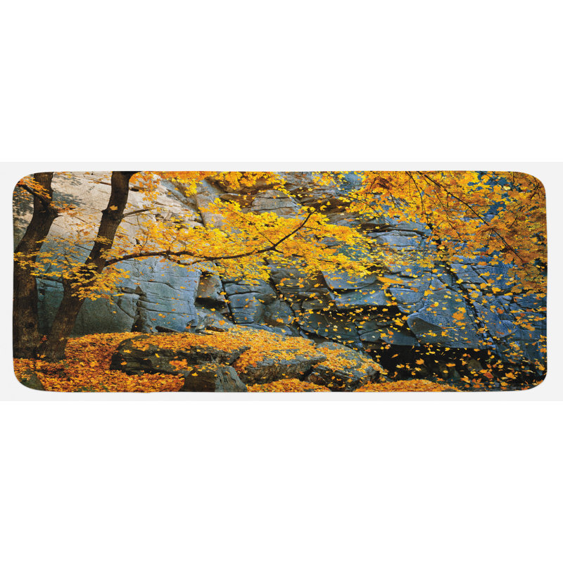 Tapis de cuisine laisse