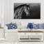 « drawing stallion ii », reproduction d’art sur toile tendue-29333748