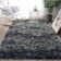 Alaunna Standard Shag Area Rug