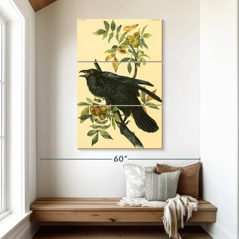 Grand corbeau des oiseaux d'Amérique