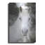 «White Horse Mystique» par Bluebird Barn-672236627