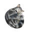 Sleeping Cat Figurine-1897219407