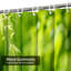 Green Forest Jungle Leaves Nature Shower Curtain with 12 Hooks-1490464049