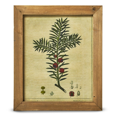 Pine Berry Vintage Wall Art