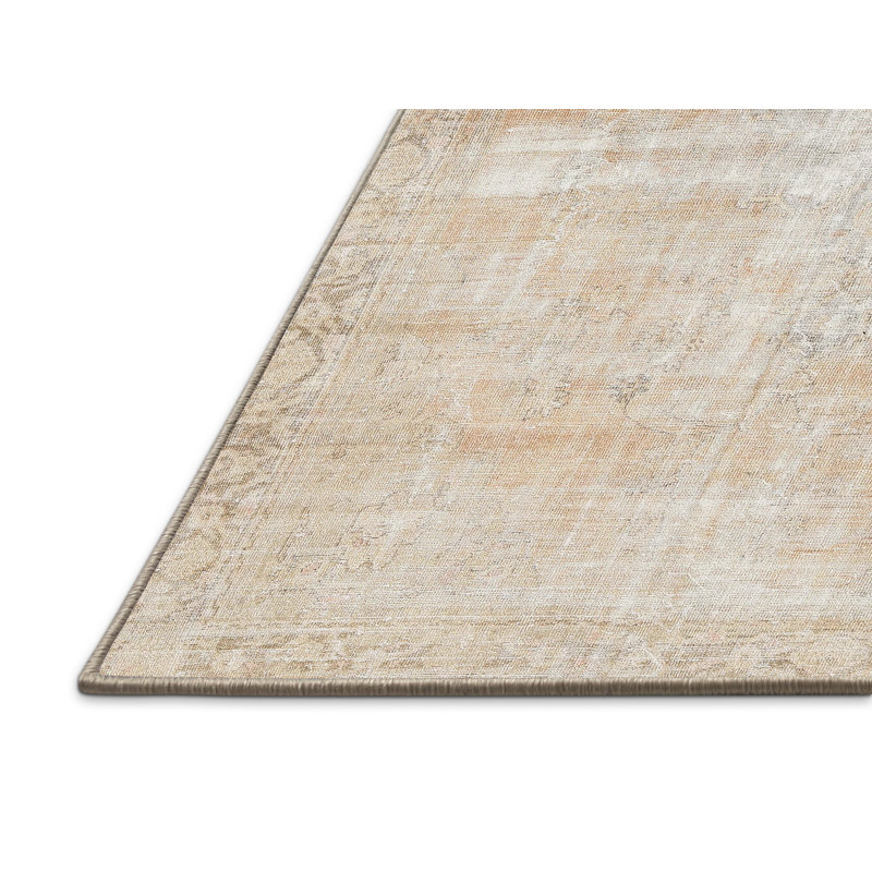 Oriental Indoor Rug, Rectangle 5' x 7'