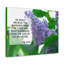 Receive The Blessing Psalm 24:5 - Wrapped Canvas Print-251653477