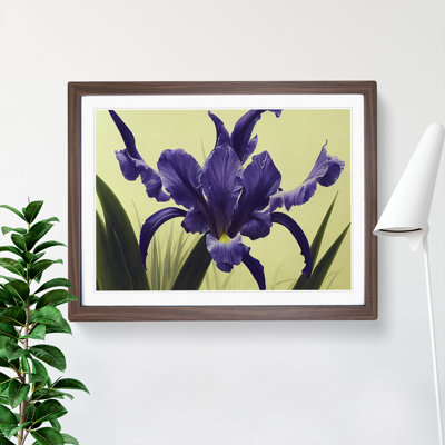 Cute Iris Flowers - Framed Print