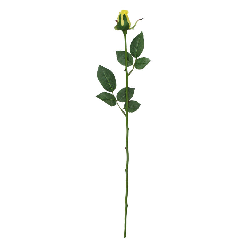 Rose Arrangement
