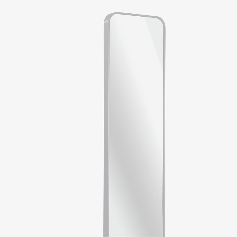 47 x 14IN Door mirror.(W2203P182160), Silver