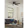Quayvon 54'' Ceiling Fan with LED Lights