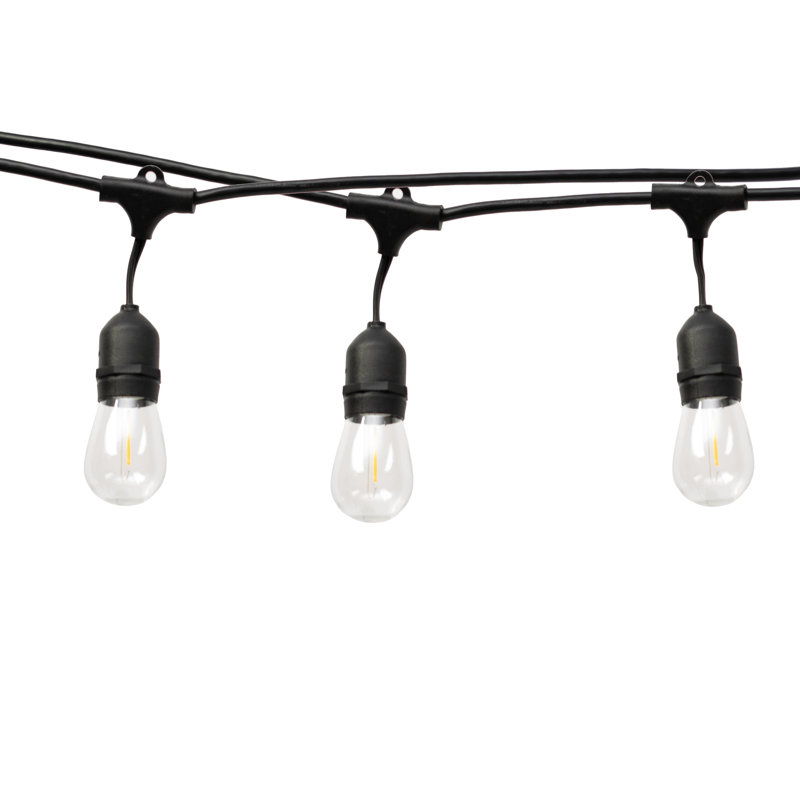 Feliciana Outdoor 12 - Bulb 24'' Plug-in LED Globe String Light