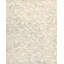 Modern Ivory/L. Green Area Rug