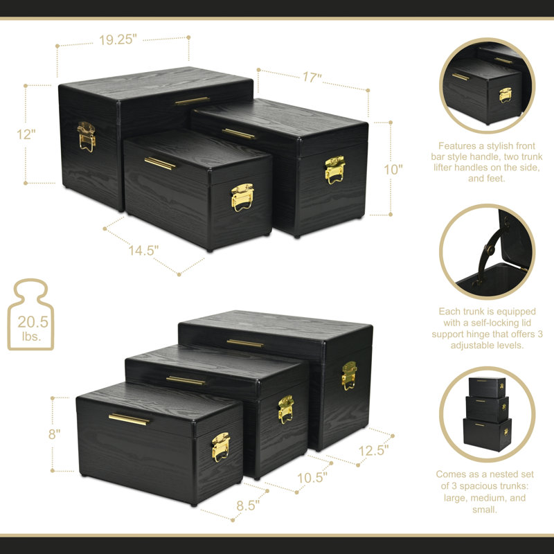 Sable Set of 3 Trunks with Gold Handles, Black