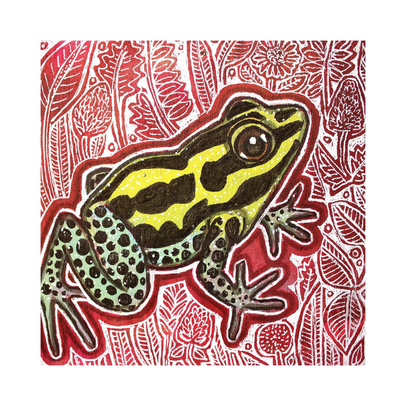 Poison Dart Frog by Lynnette Shelley - Wrapped Canvas Print, 30.48 cm H x 30.48 cm W