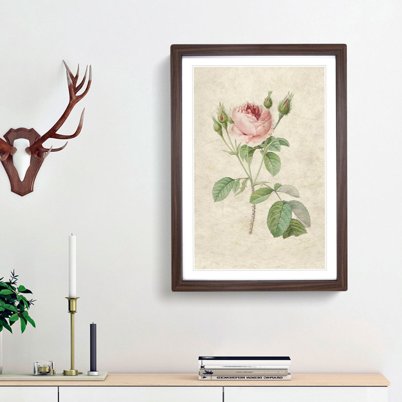 A Pink Rose by Pierre-Joseph Redoute - Framed Print, 33cm H x 24cm W x 2cm D, Walnut Framed