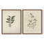 «Vintage Floral XIX», estampe numérique encadrée - ensemble de 2-1998867488-1998867494